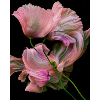 Liquid Botanical Contemporary Photograph For Sale