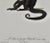 Late 18th Century White-Throated Capuchin Monkey: Framed Audebert 18th C. Hand-Colored Engraving, 1797 For Sale - Image 5 of 6