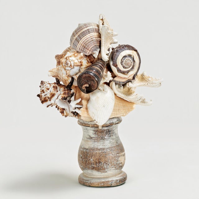 Pair of Seashell Sculptures on Wood Bases For Sale - Image 4 of 13