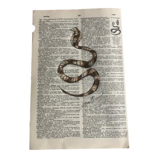 "Cobra" Contemporary Original Colored Pencil Drawing on Vintage Dictionary Page For Sale