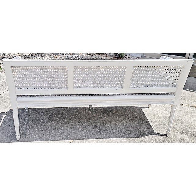 1920s French Louis XVI Style Caned Sette Bench For Sale - Image 10 of 12