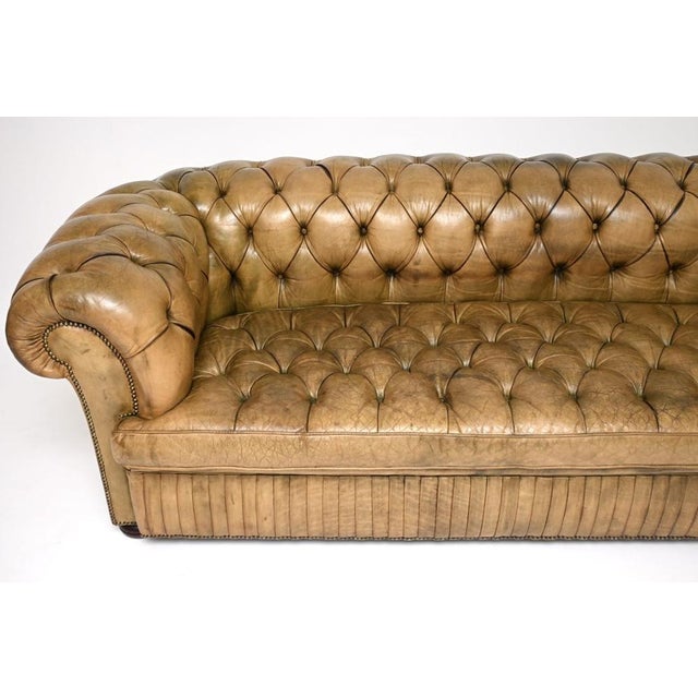 Animal Skin Antique Deep-Buttoned Leather Chesterfield Sofa, 1930s For Sale - Image 7 of 14