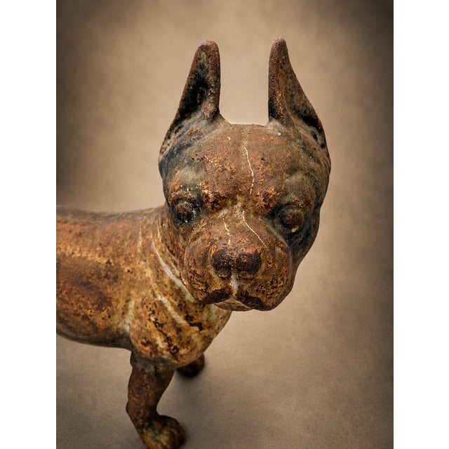 Early 19th Century Antique American Cast Iron Boston Terrier Doorstop With Original Painted Surface For Sale - Image 5 of 8