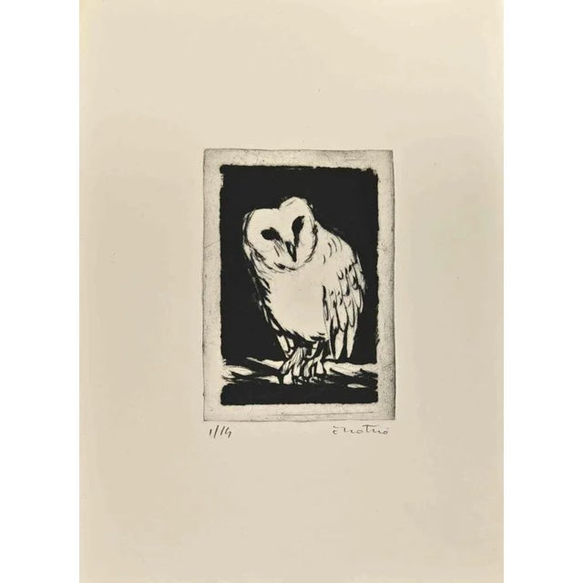 Owl is an Etching realized by Enotrio Pugliese in 1963. Limited edition of 14 copies numbered and signed by the artist....