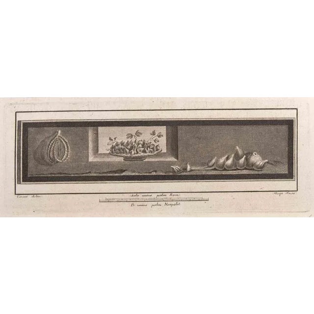 Decoration with fruits is an etching realized by luigi aloja (1783-1837). The etching belongs to the print suite...