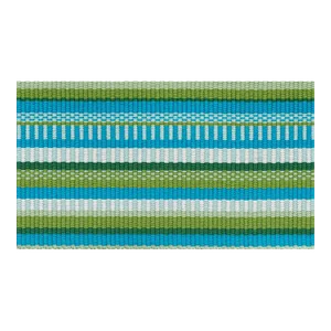 Schumacher Primavera Tape in Meadow