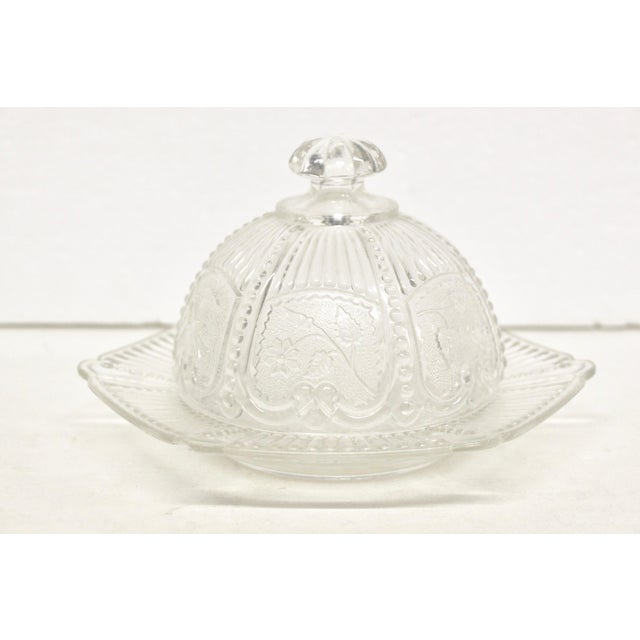 Pressed Glass Domed Butter Dish Chairish