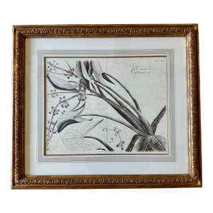 Dennis & Leen Botanical Print With Gilded Frame – DL-Art 41