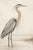 Refined coastal artwork featuring a great blue heron standing in shallow water against a soft, misty shoreline. The...
