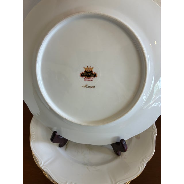 Vintage Forest Bavaria Dinner Plates With Gold Rim - Set of 8 For Sale - Image 11 of 12