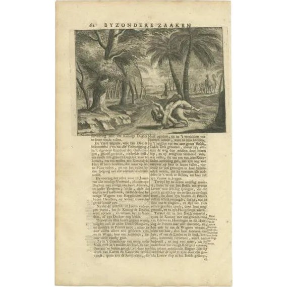 François Valentijn, Print of the Princess Taken by a Lion, 1726, Paper For Sale