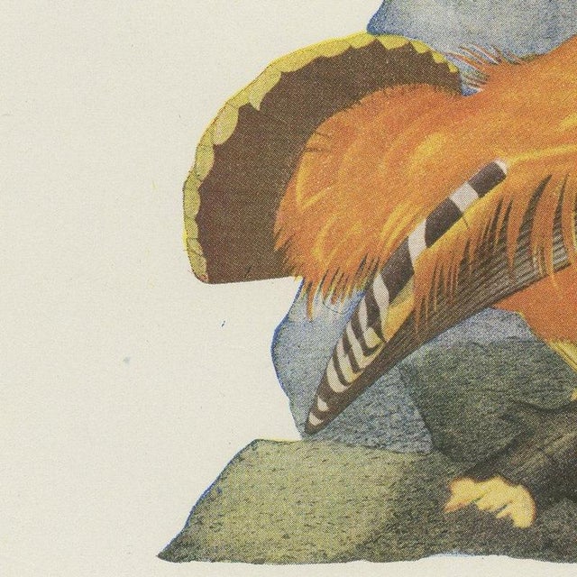 Brazilian Bird Print Guianan Cock-of-the-Rock by Descourtilz, 1944 For Sale - Image 4 of 12