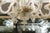 1940s Exquisite 6-Light Murano Glass Chandelier, 1940s Italy For Sale - Image 13 of 18