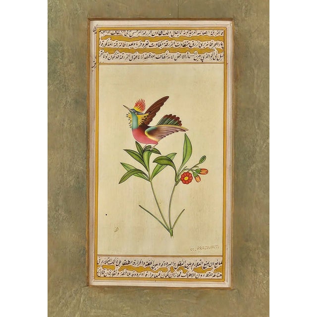 A miniature of a hummingbird, India circa 1870.