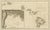 Map of the Hawaiian Islands with Large Inset of Karakakooa Bay, 1803 For Sale