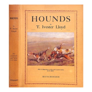 "Hounds" 1934 Lloyd, T. Ivester For Sale