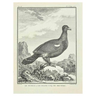 E. Fessard, Le Tetras, Etching, 1771 For Sale