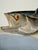 John James Audubon After John James Audubon Fish Hawk (Osprey) Giclée Print, 20” X 30” For Sale - Image 4 of 6