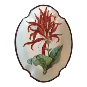 Early 19th Century English Swansea Creamware Botanical Pearlware Quatrefoil Shaped Dish