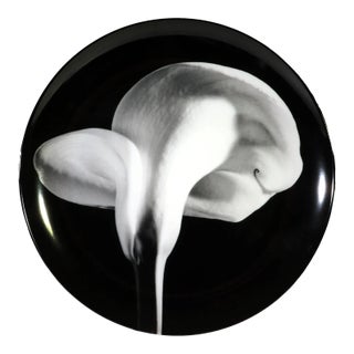 Robert Mapplethorpe Botanical Porcelain Plate, "Calla Lily, 1984" For Sale