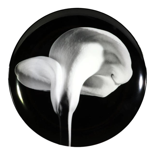 Robert Mapplethorpe Botanical Porcelain Plate, "Calla Lily, 1984" For Sale