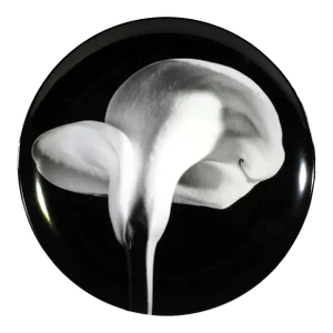 Robert Mapplethorpe Botanical Porcelain Plate, "Calla Lily, 1984"