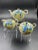 Ceramic Vintage Nippon Floral Asian Ceramic Tea Set- 3 Pieces For Sale - Image 7 of 12