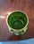 1900 - 1909 Antique Moser Bohemian Glass Emerald Green Gilded Vase For Sale - Image 5 of 11