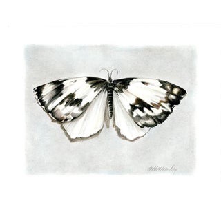 "Butterfly" Contemporary Black and White Mixed-Media Drawing For Sale