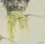 Pasta is a phototype print reproducing drawing by Renzo Vespignani of the 1960s Signed on the plate lower right. The...