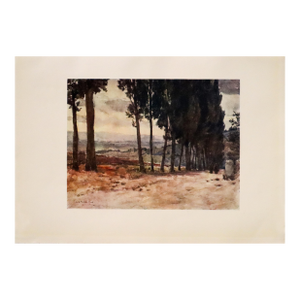 1905 Italian Original Print - On the Old Road to Fiesole - From Book Florence & Some Tuscan Cities