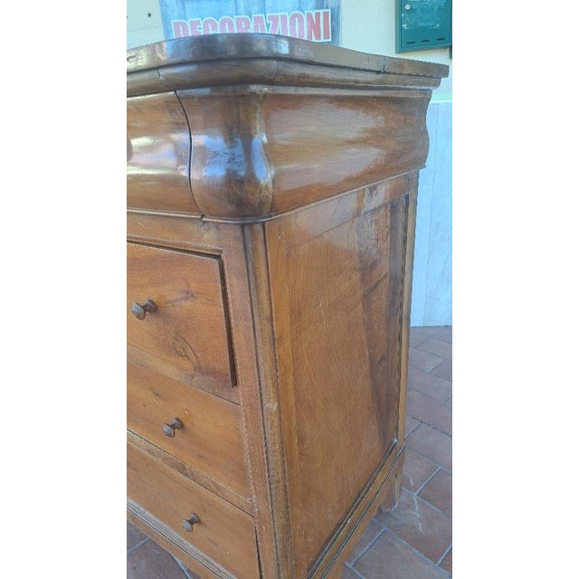 Cappuccino Chest of Drawers in Walnut For Sale - Image 5 of 8