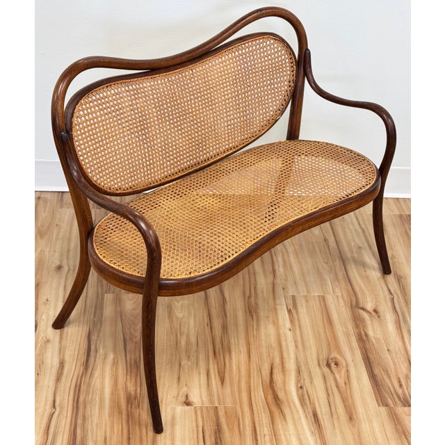 Mid 20th Century Vintage Child's Size Caned Thonet Style Bentwood Bench For Sale - Image 5 of 8