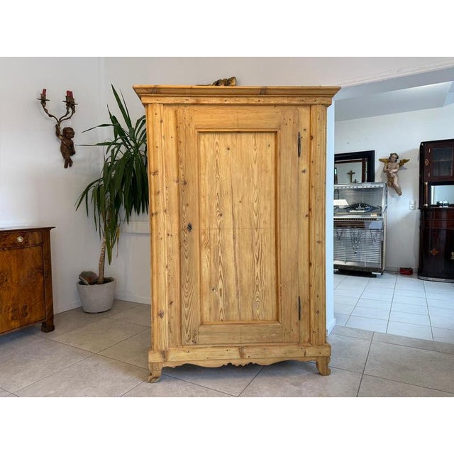 Biedermeier Farmhouse Cupboard in Natural Wood For Sale - Image 11 of 16