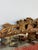 Traditional Anthropologie Gleaming Primrose Wall Mirror For Sale - Image 3 of 12