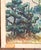 Green Early 20th Century American Post-Impressionist Oil Painting of Trees, New York City Label For Sale - Image 8 of 12