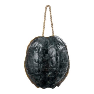 Regina Andrew Turtle Shell Accessory in Natural For Sale