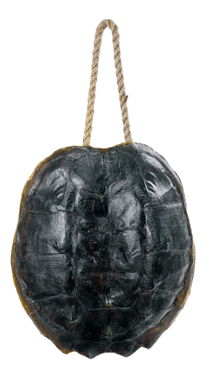 Regina Andrew Turtle Shell Accessory in Natural