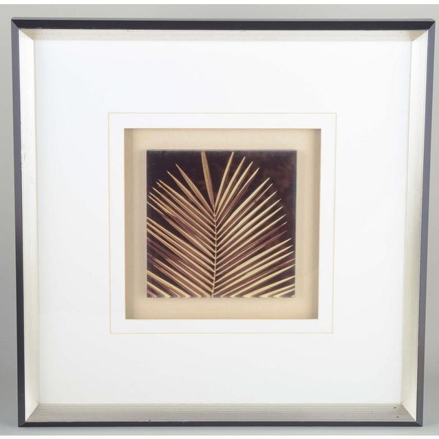 Art Glass Palm leaf. Framed behind glass. A decorative art glass work depicting a palm leaf. The piece highlights the...