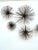 Pair of 1970s Curtis Jeré Sea Urchin Wall Sculptures For Sale - Image 12 of 12
