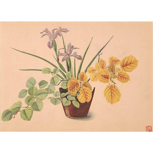 1956 Original Botanical Lithograph-Flower Arrangment Design, Matted For Sale - Image 4 of 5