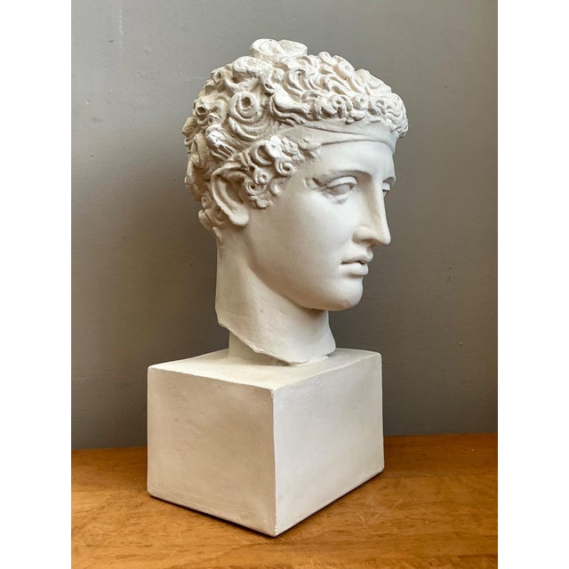Vintage Plaster Classical Bust of Roman Warrior For Sale - Image 16 of 18