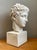 Vintage Plaster Classical Bust of Roman Warrior For Sale - Image 16 of 18
