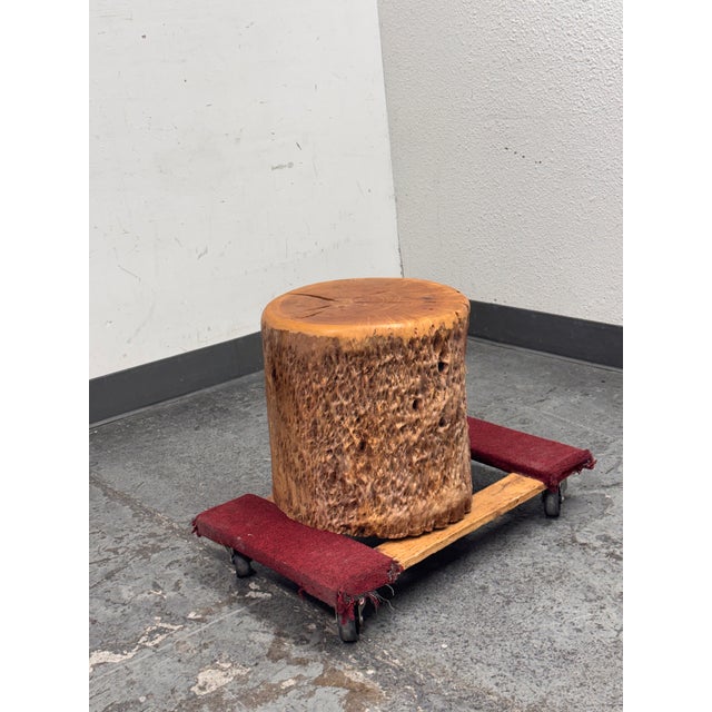 Contemporary Organic Modern Live Edge Tree Side Table/Stool For Sale - Image 3 of 12