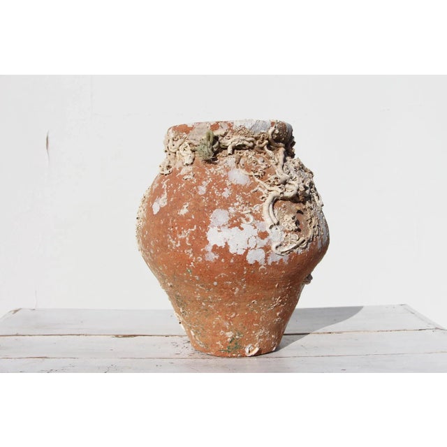 19th Century 19th Century Antique Terracotta Octopus Trap Undersea Pot For Sale - Image 5 of 13