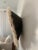 For centuries, Bamiléké tribes have been making those hats that symbolize prosperity and freedom. Once, this hat was worn...