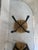 Vintage Black Meribel Stools by Charlotte Perriand, 1960, Set of 2 For Sale - Image 14 of 17