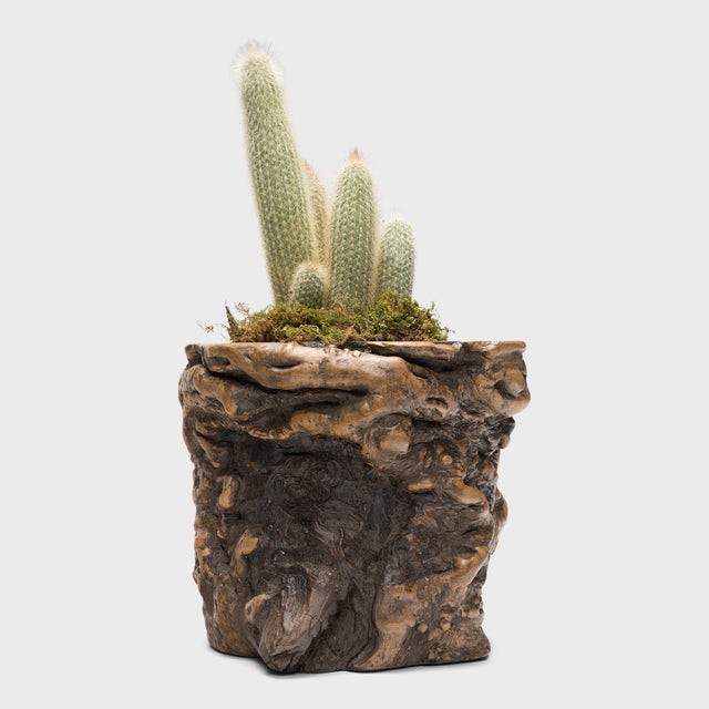 Chinese Gnarled Root Brush Pot, C. 1900 For Sale - Image 4 of 5