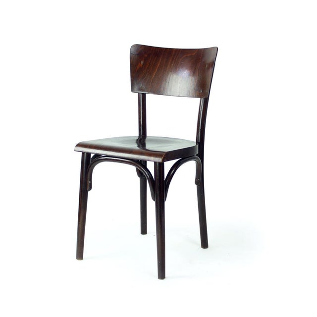 1950s Bentwood Chair, Former Czechoslovakia, 1950s For Sale - Image 5 of 10