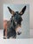 Unknown, Oil on Panel, Portrait of a Donkey, 20th Century, 1990s, Oil For Sale - Image 10 of 10